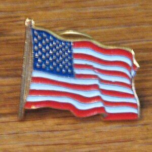 Wavey flag lapel pin